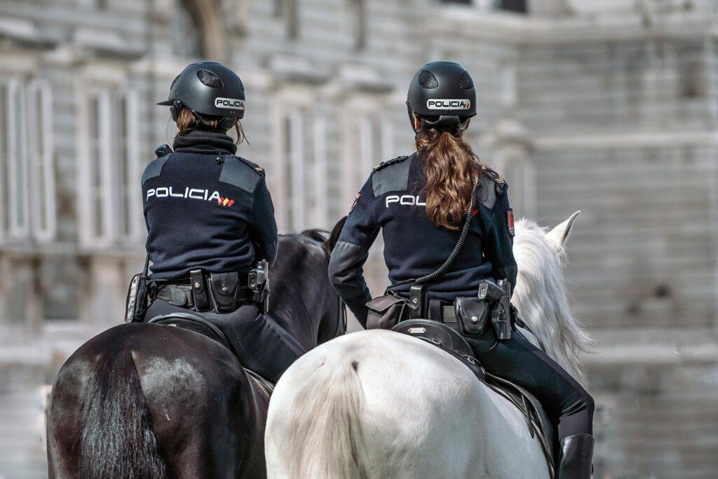 Cuerpos de Seguridad