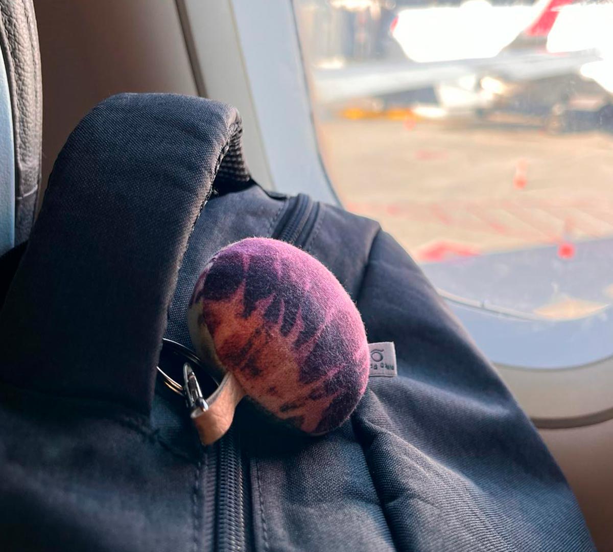 Pilko Paco en el avión